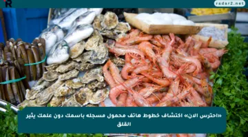 «احترس الآن» اكتشاف خطوط هاتف محمول مسجلة باسمك دون علمك يثير القلق